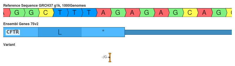 The insertion of a G should not change the final codon, but does change the 3&rsquo; UTR.