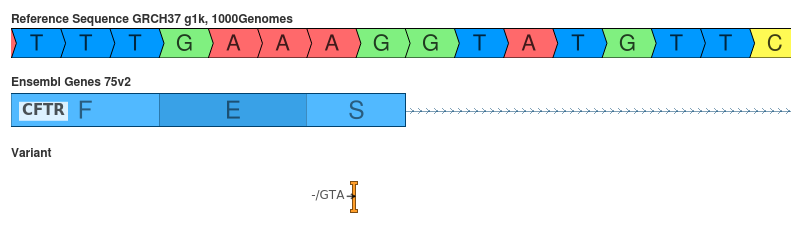 The effect of an GTA insertion is difficult to determine at this position.