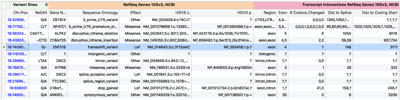 Example transcript annotation output