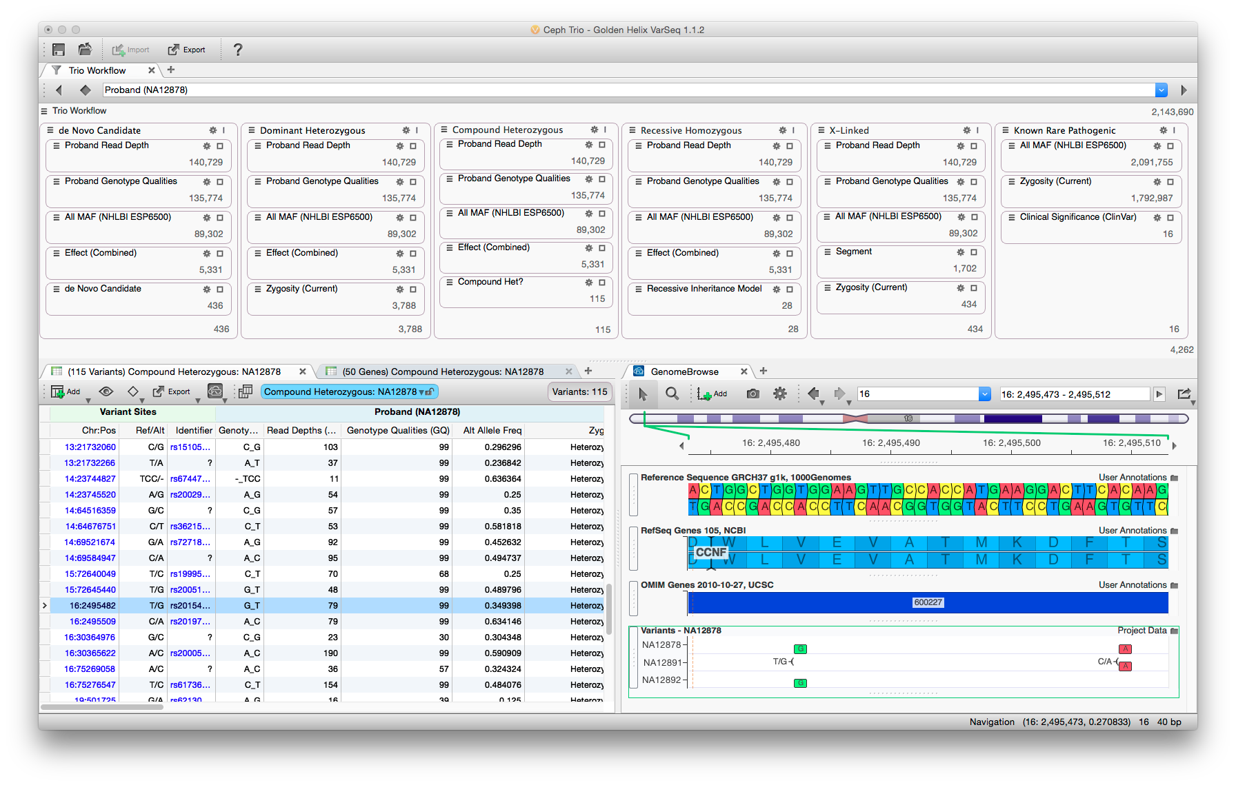 The VarSeq user interface balances data density with usability. Rare variant analysis can be very complex, but by partitioning the filter chain and providing immediate feedback analysis can be performed rapidly.